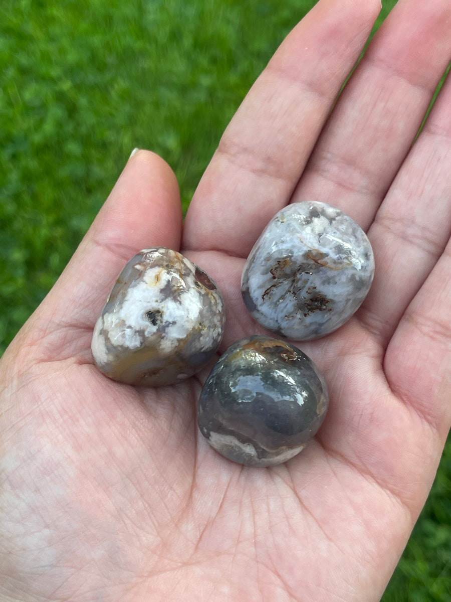 Black Flower Agate tumble