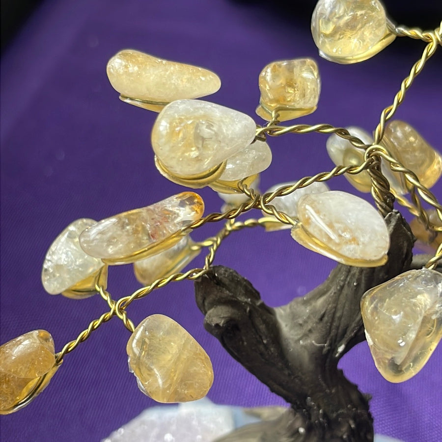 Citrine crystal tree on Amethyst druzy base