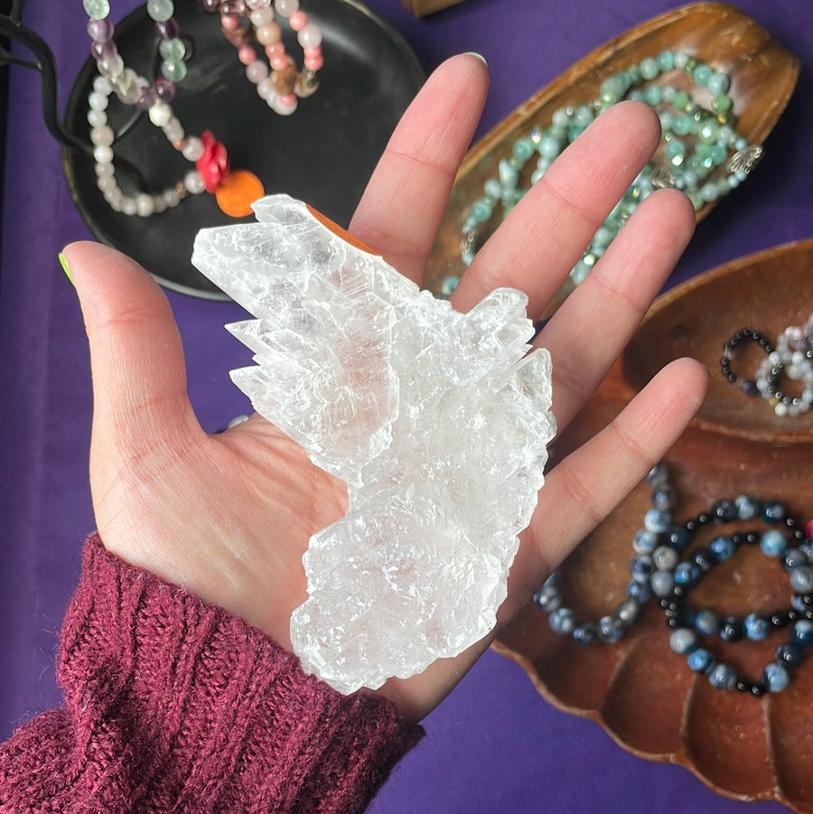 Rare Fishtail Selenite Specimen