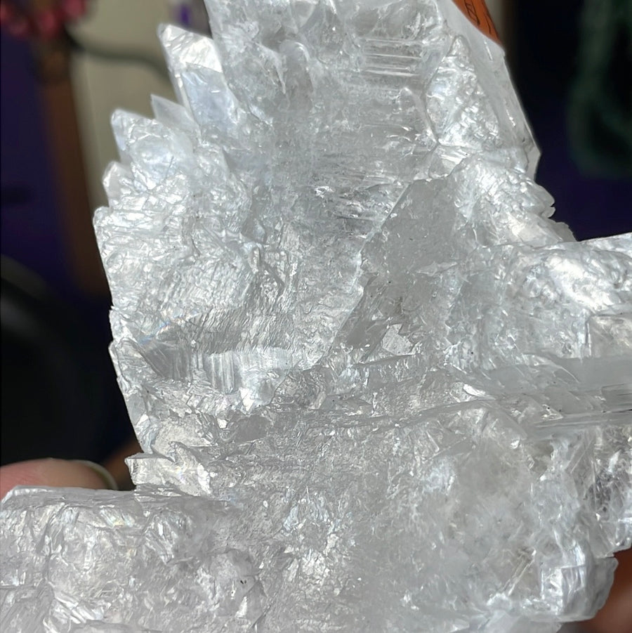 Rare Fishtail Selenite Specimen