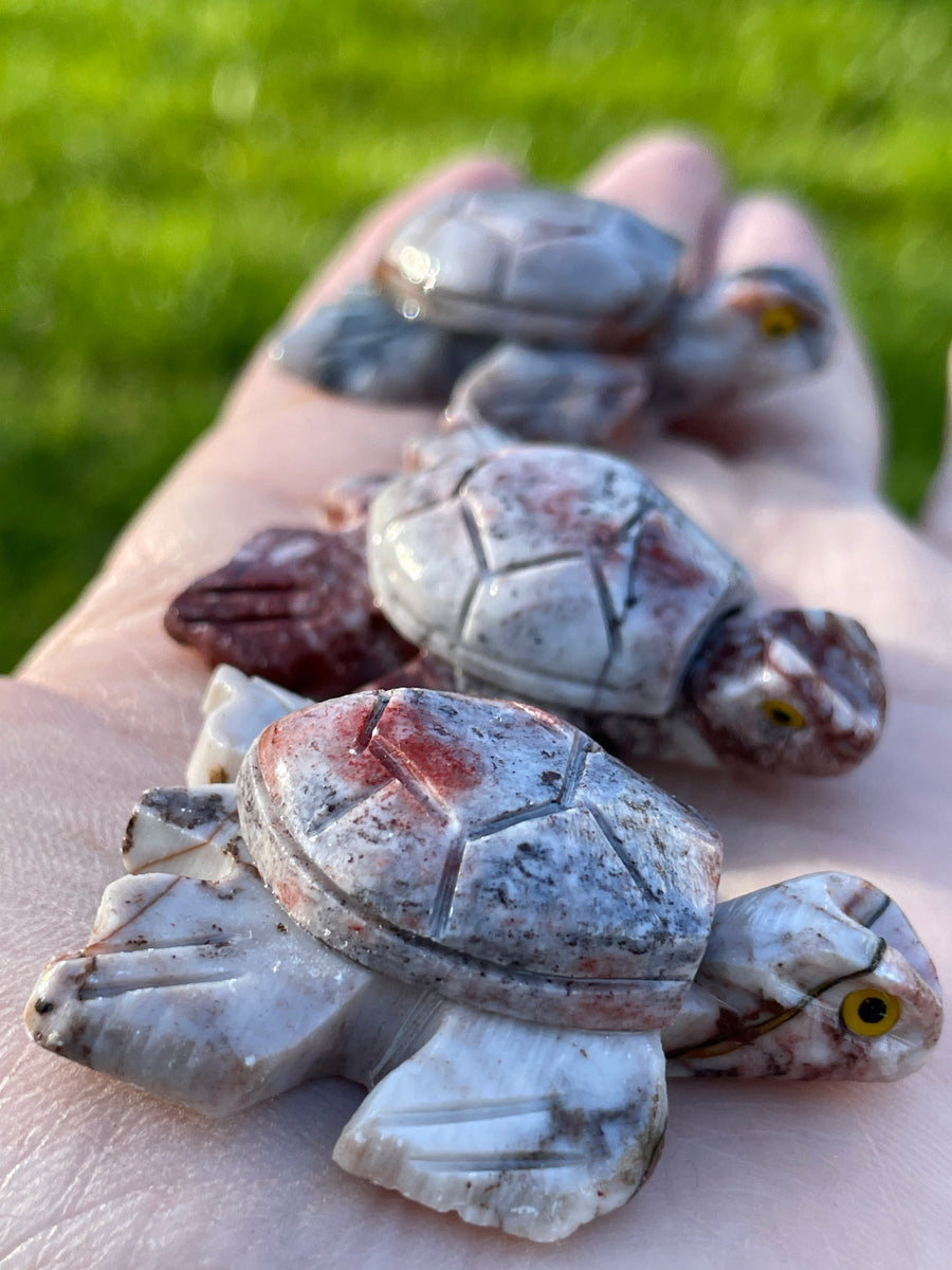 Turtle carving soap stone