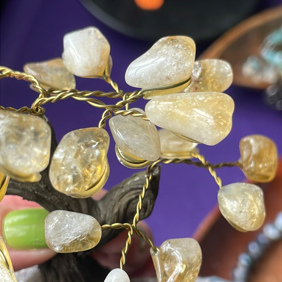 Citrine crystal tree on Amethyst druzy base