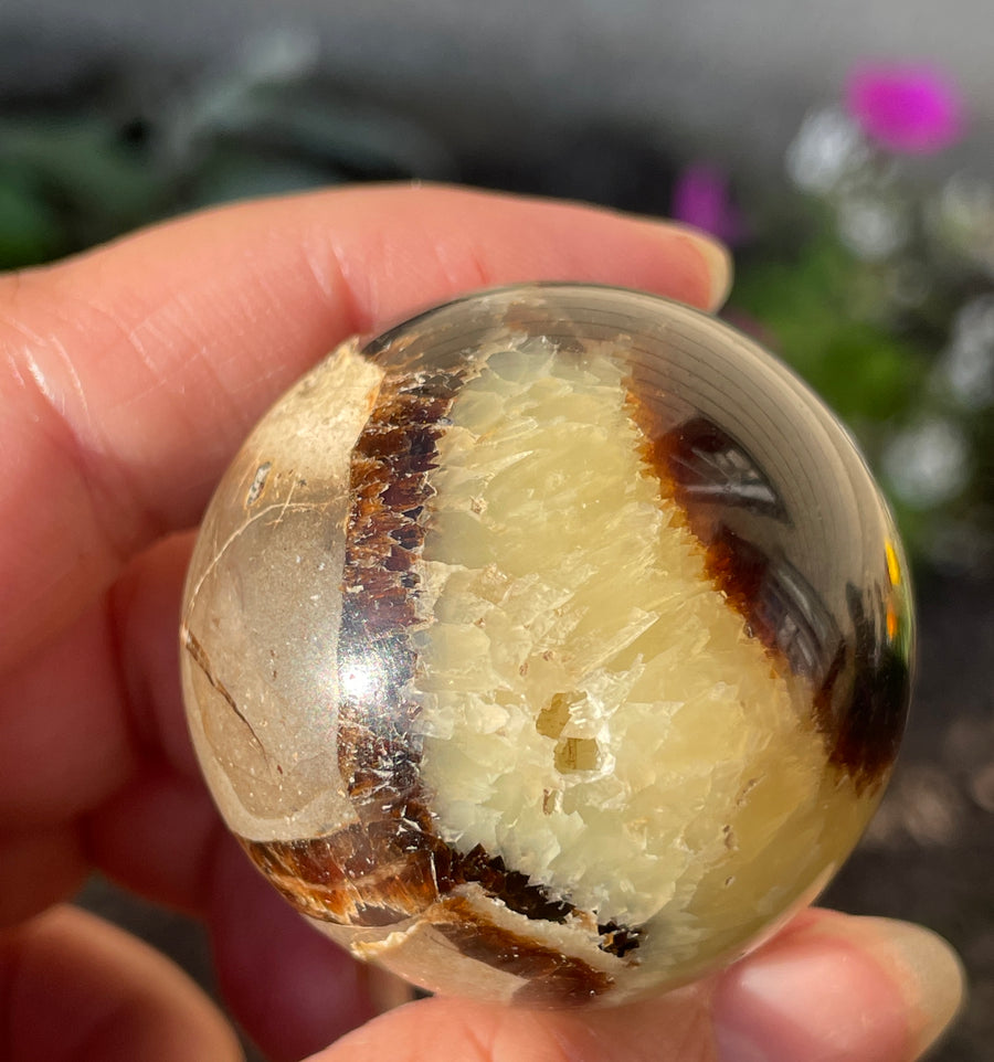Septarian sphere