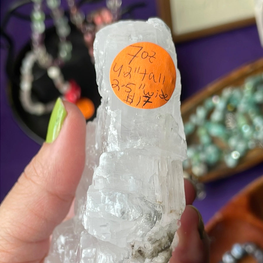 Rare Fishtail Selenite Specimen