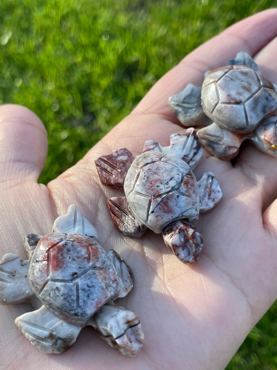 Turtle carving soap stone