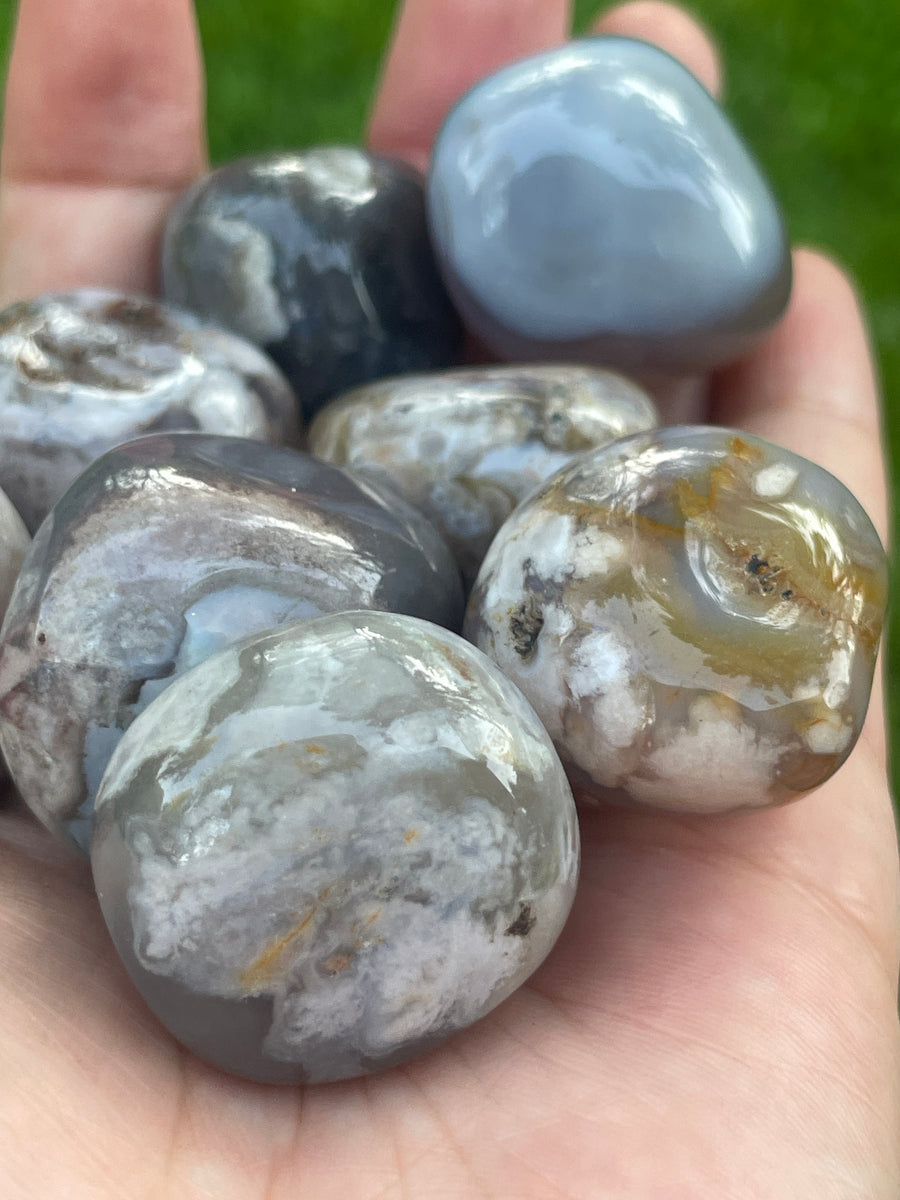 Black Flower Agate tumble