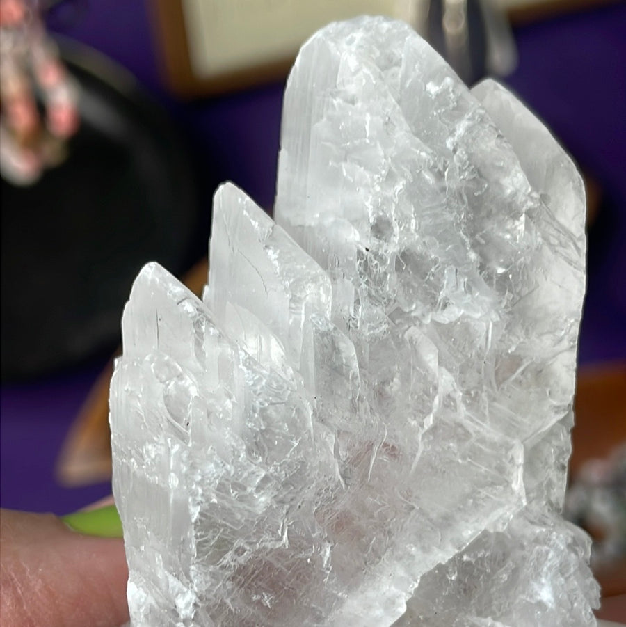 Rare Fishtail Selenite Specimen