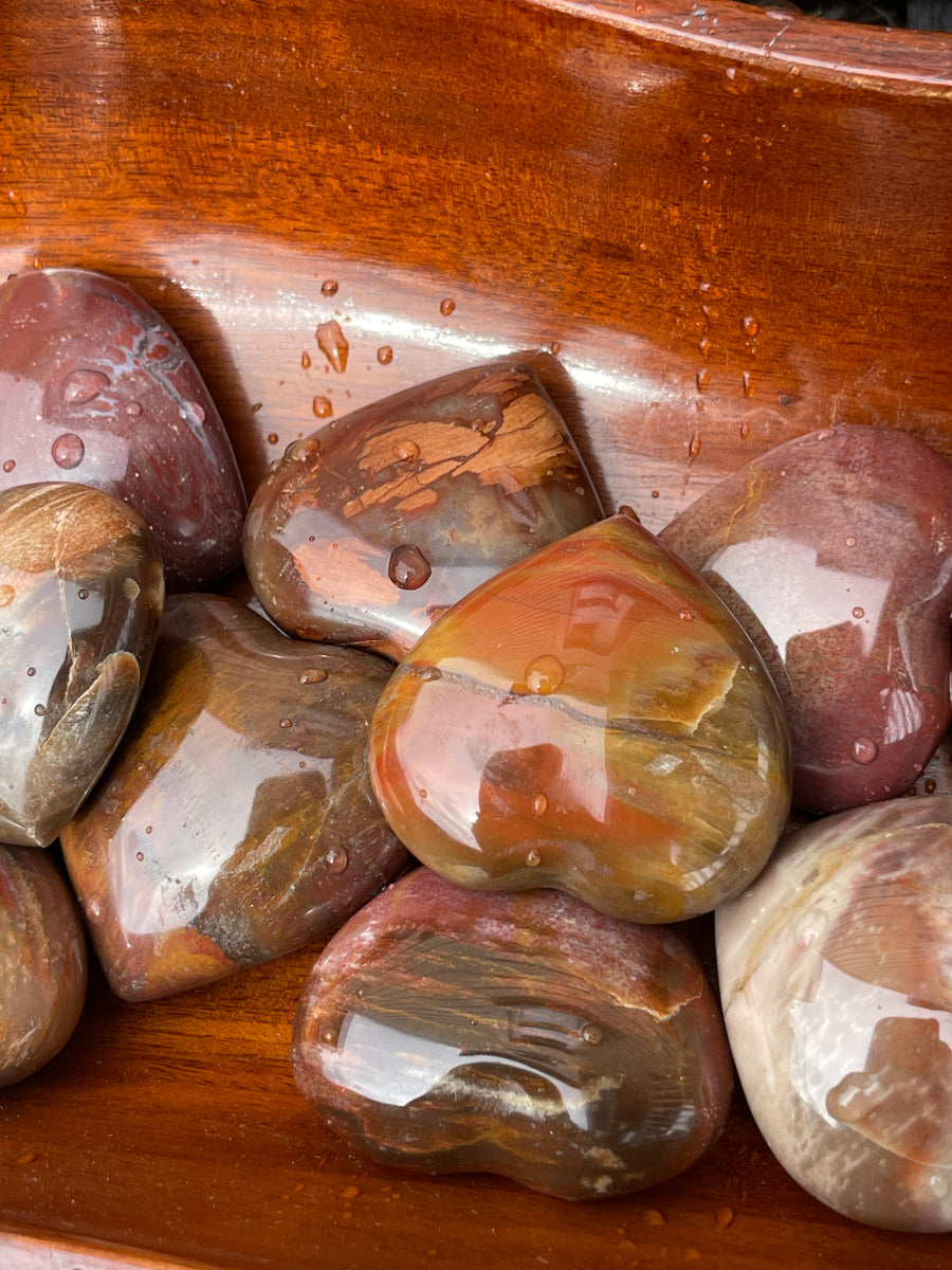 Petrified wood pocket heart