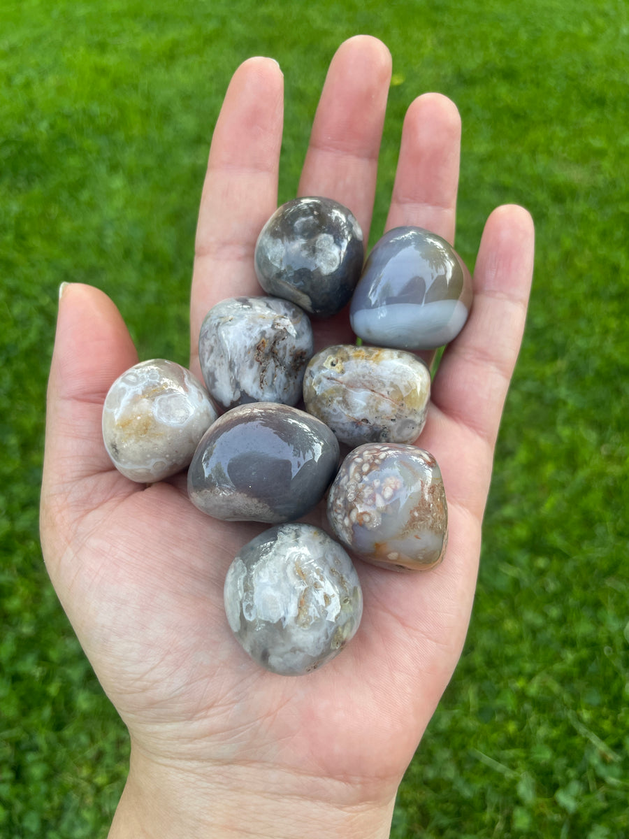 Black Flower Agate tumble