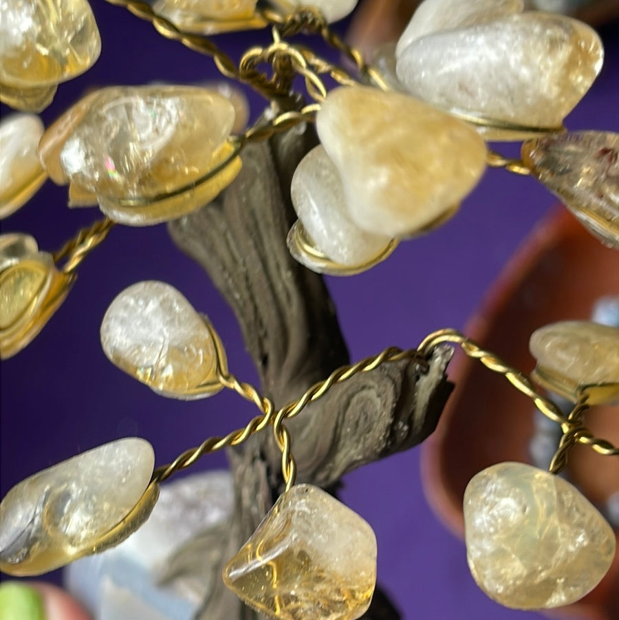 Citrine crystal tree on Amethyst druzy base