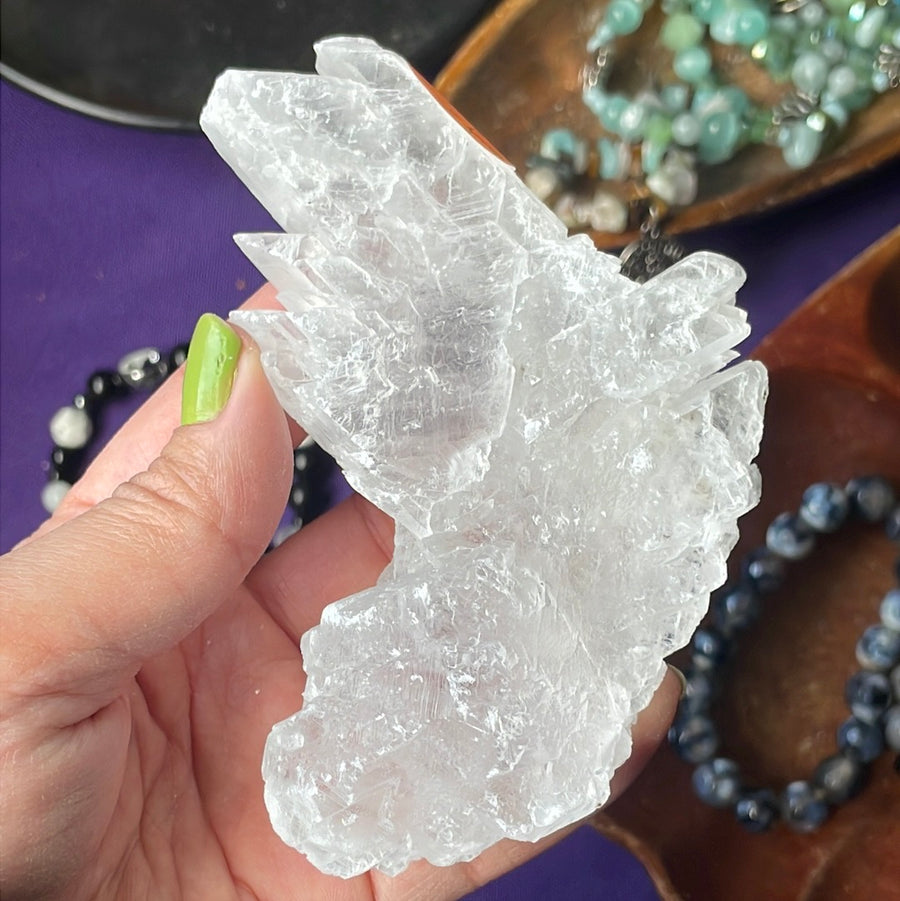 Rare Fishtail Selenite Specimen