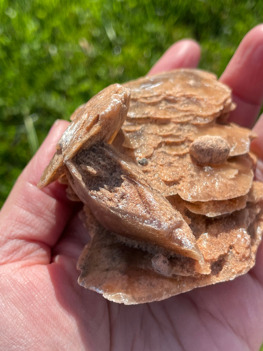 Selenite Desert rose largest in the shop