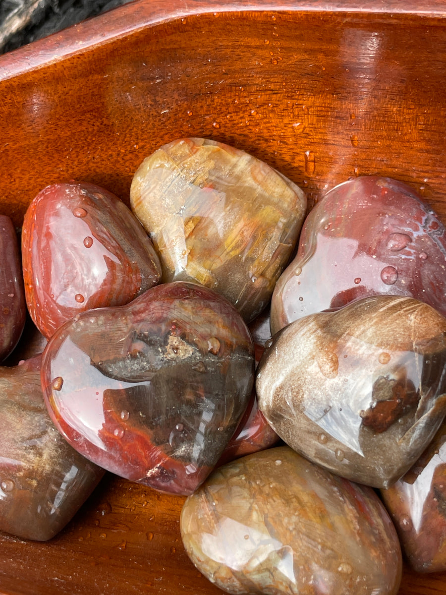 Petrified wood pocket heart