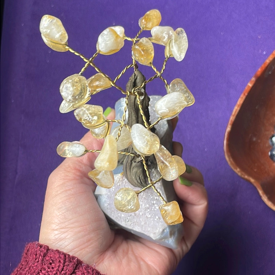 Citrine crystal tree on Amethyst druzy base