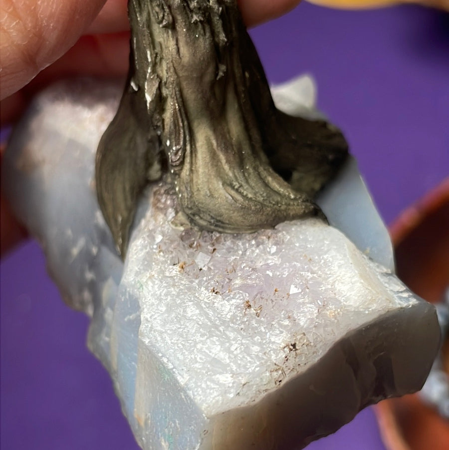 Citrine crystal tree on Amethyst druzy base