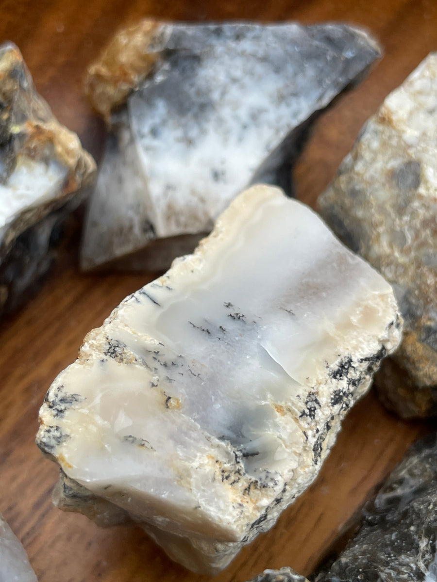 Raw Dendric Agate