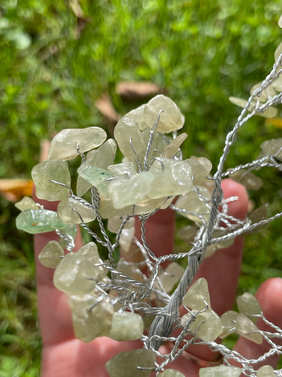 Crystal Trees with Orgone Pyramid Base 7 Inches(100 chips)