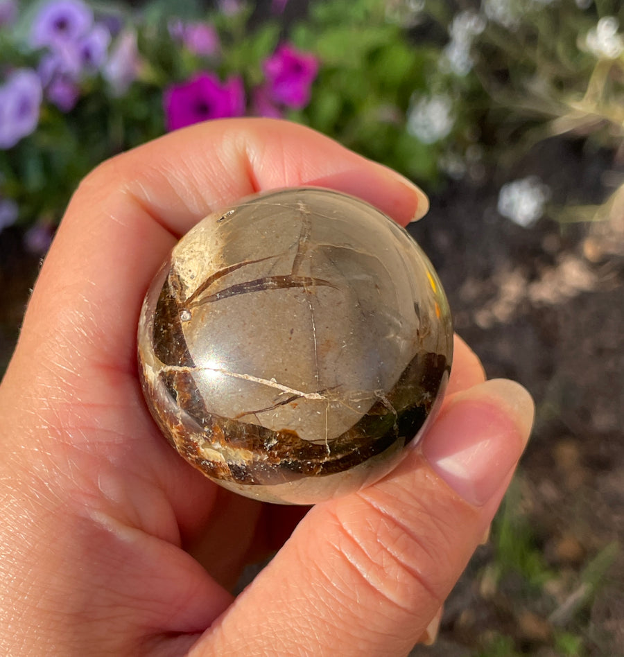 Septarian sphere