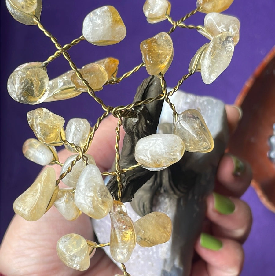 Citrine crystal tree on Amethyst druzy base