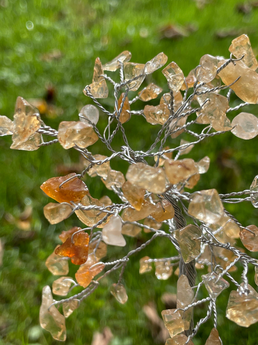 Crystal Trees with Orgone Pyramid Base 7 Inches(100 chips)