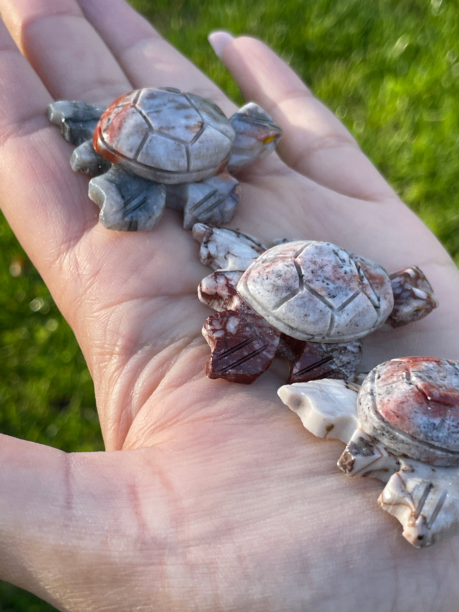 Turtle carving soap stone