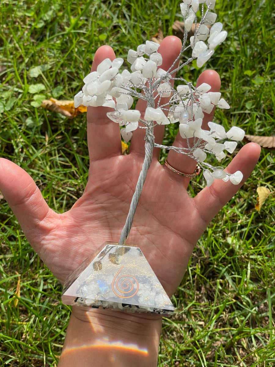 Crystal Trees with Orgone Pyramid Base 7 Inches(100 chips)