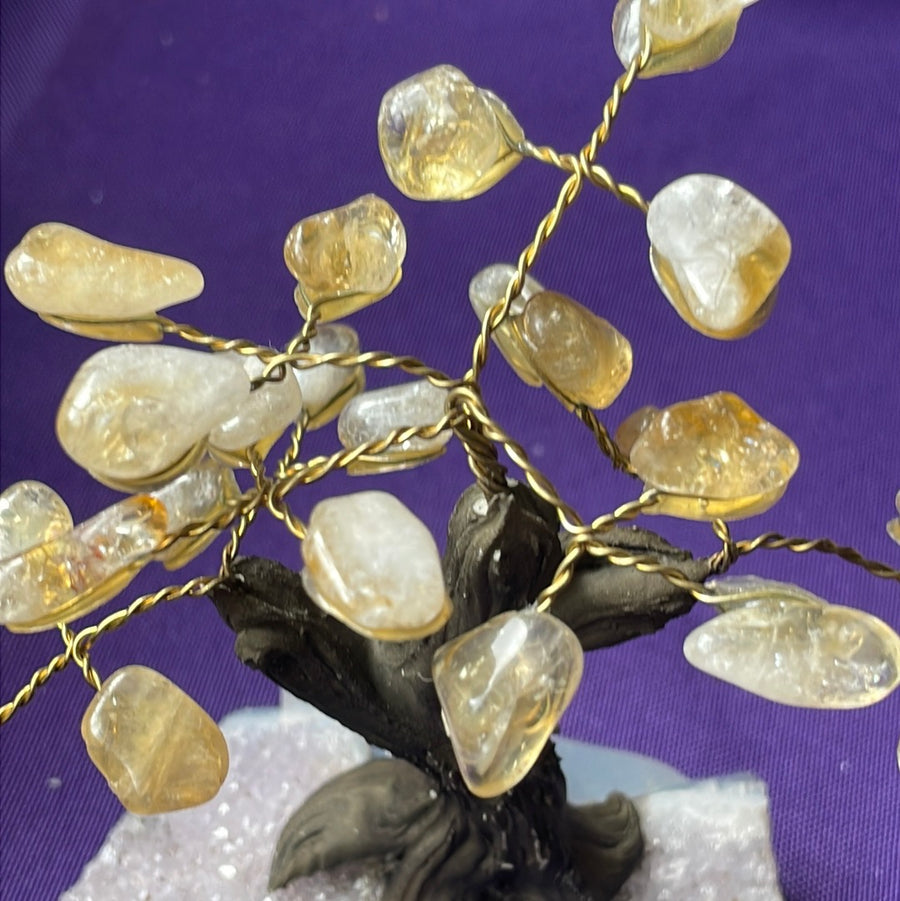 Citrine crystal tree on Amethyst druzy base