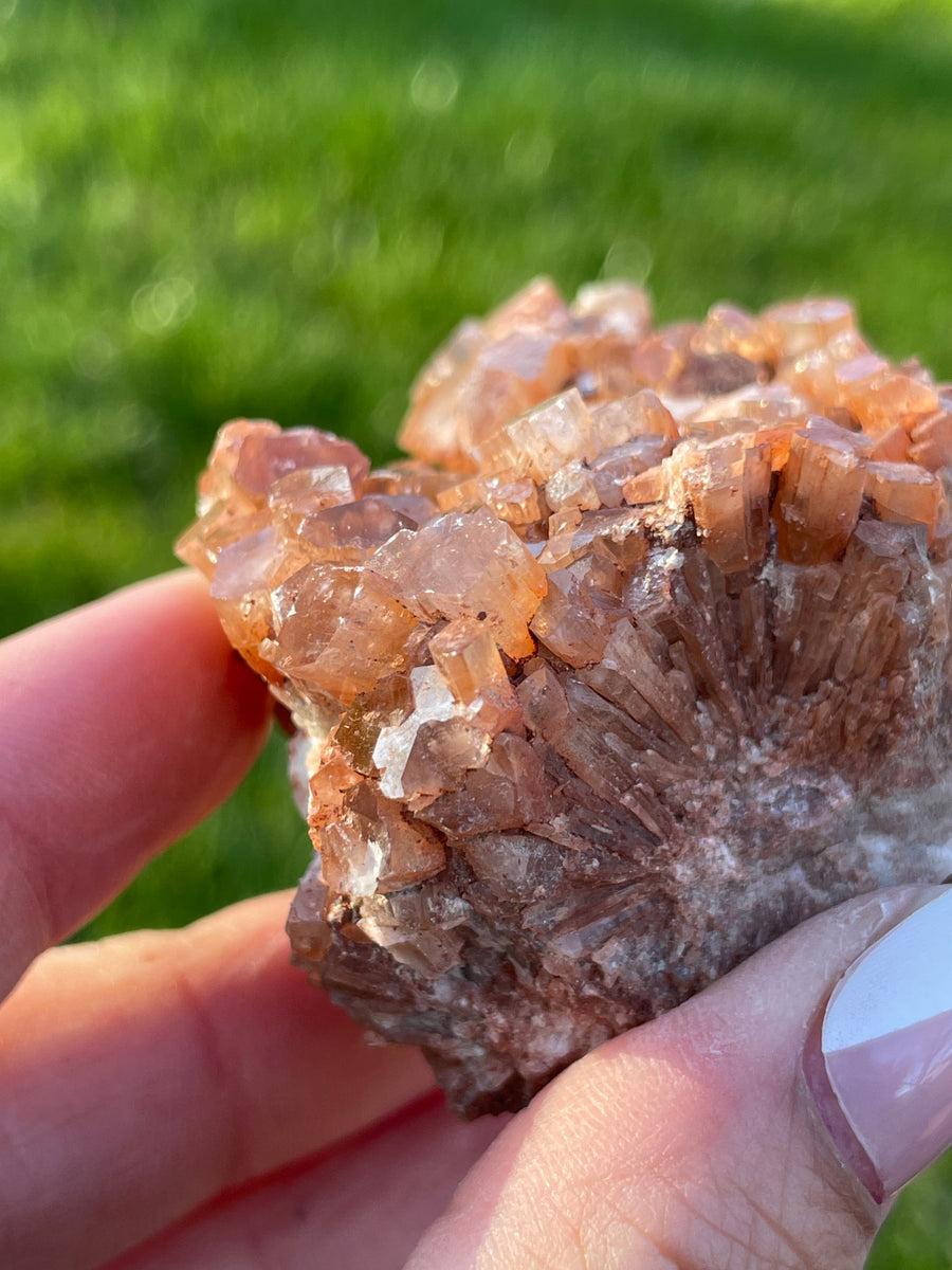 Aragonite specimen