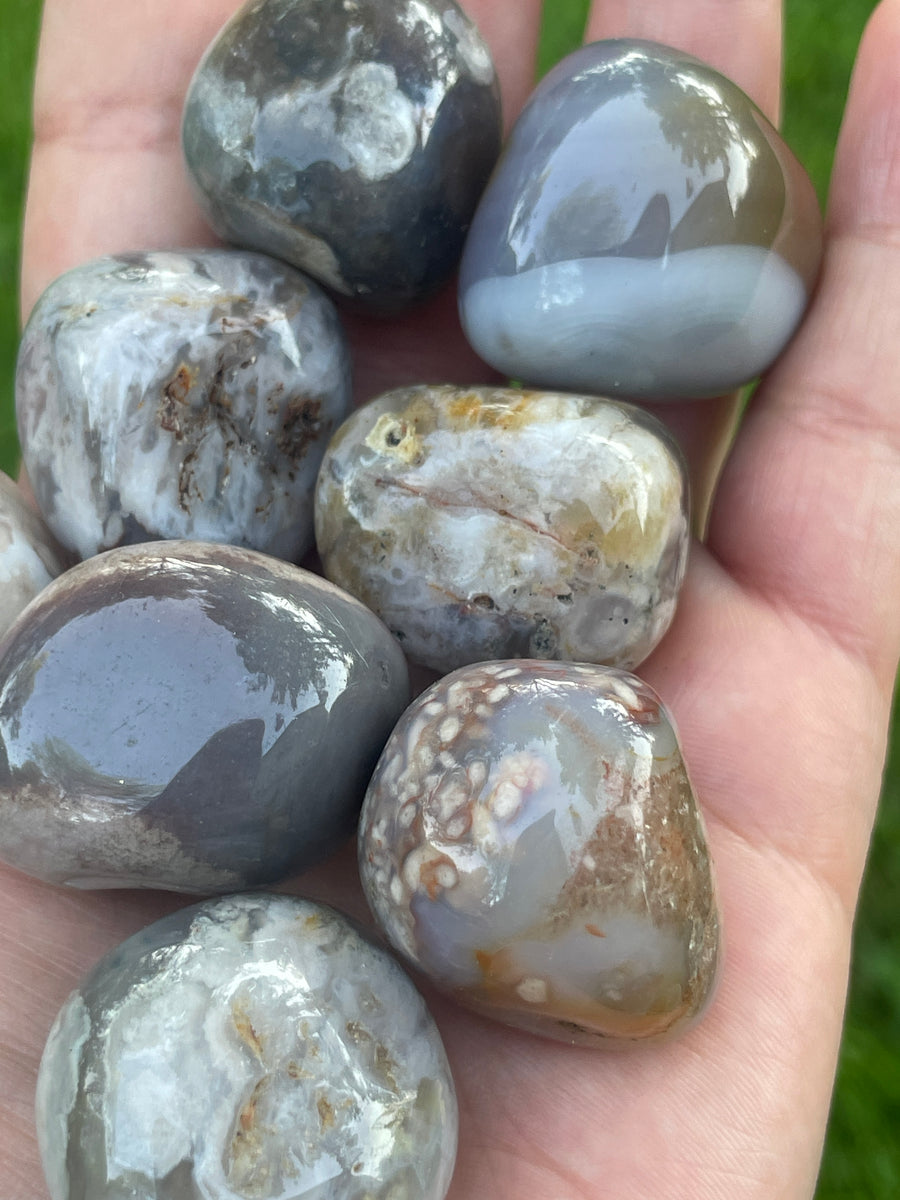 Black Flower Agate tumble