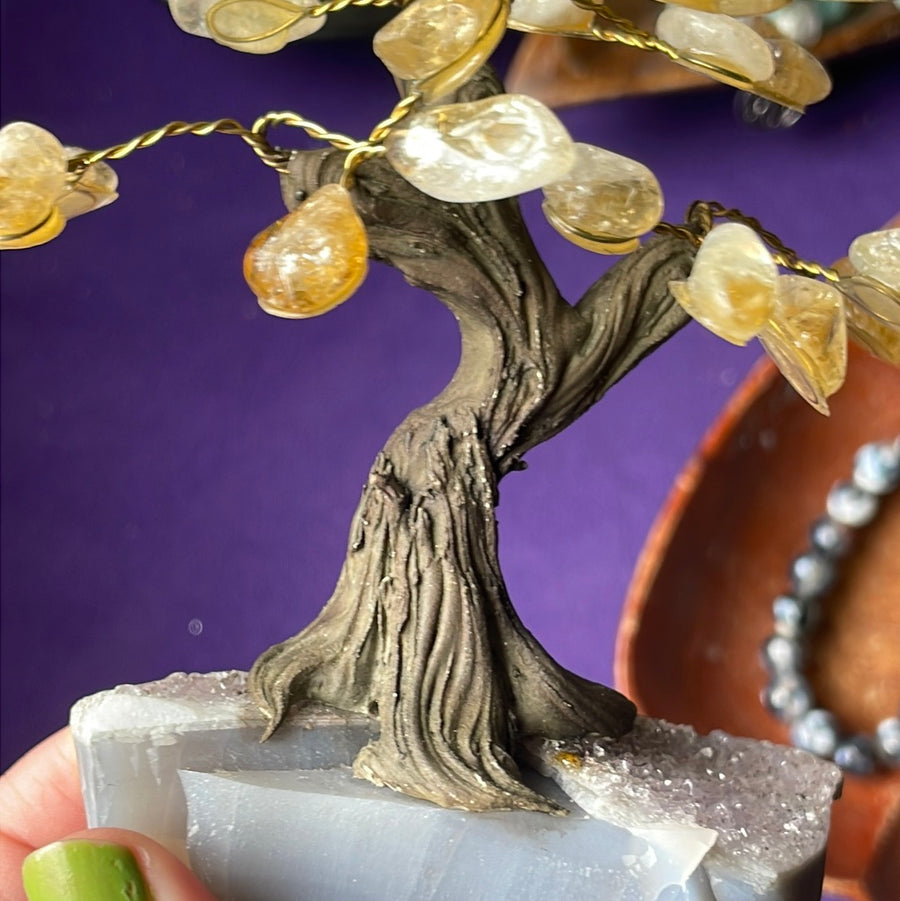 Citrine crystal tree on Amethyst druzy base