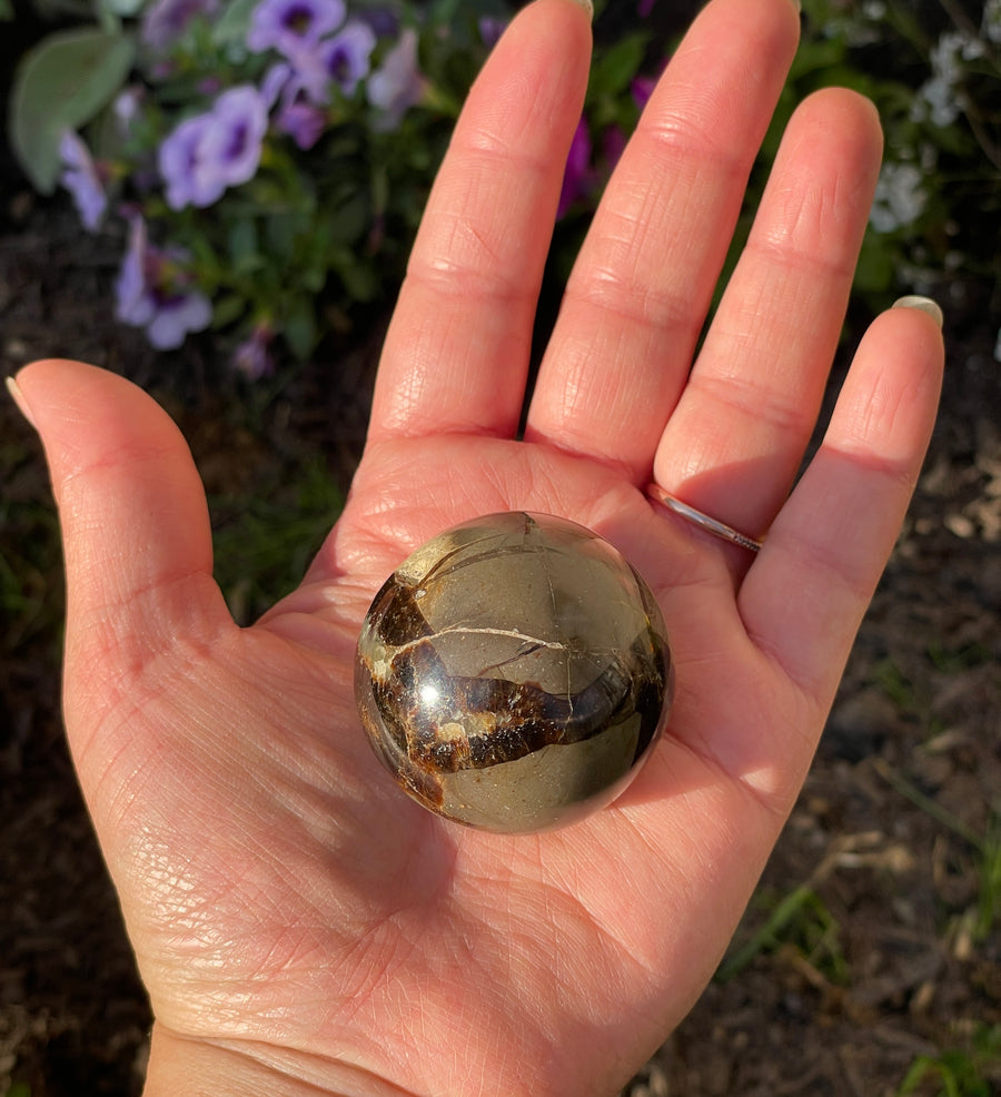 Septarian sphere