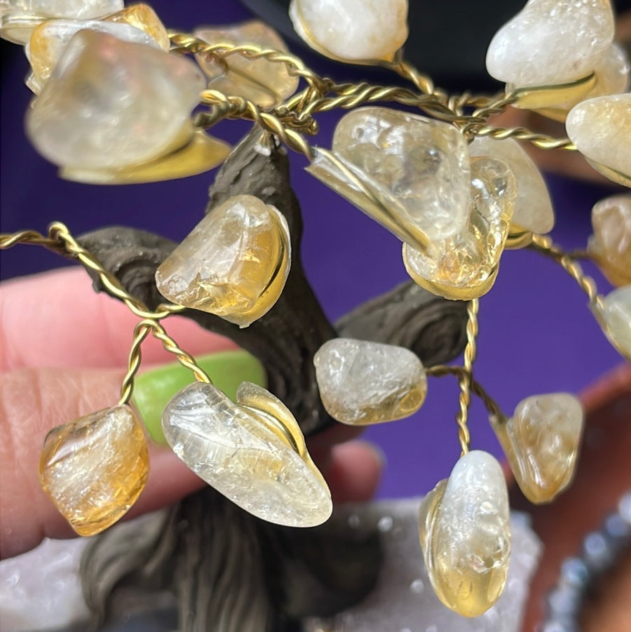 Citrine crystal tree on Amethyst druzy base