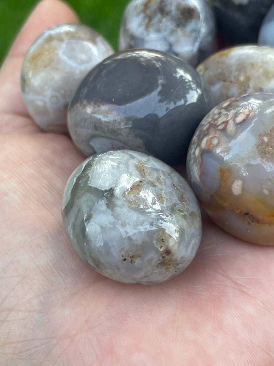 Black Flower Agate tumble