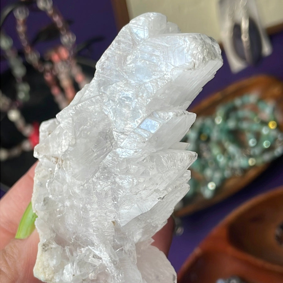 Rare Fishtail Selenite Specimen