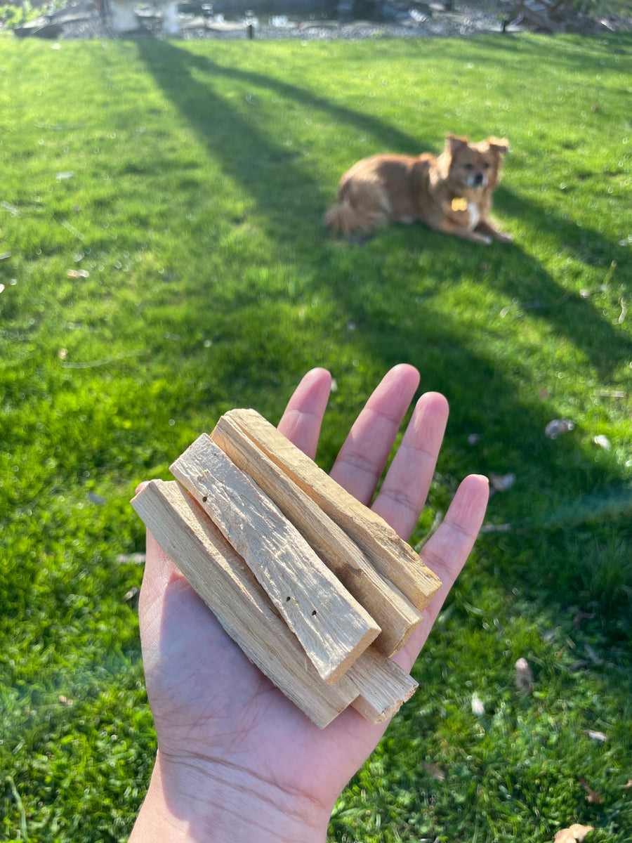 Palo Santo sticks