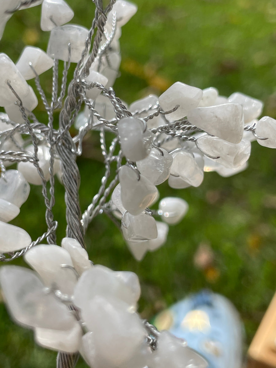 Crystal Trees with Orgone Pyramid Base 7 Inches(100 chips)