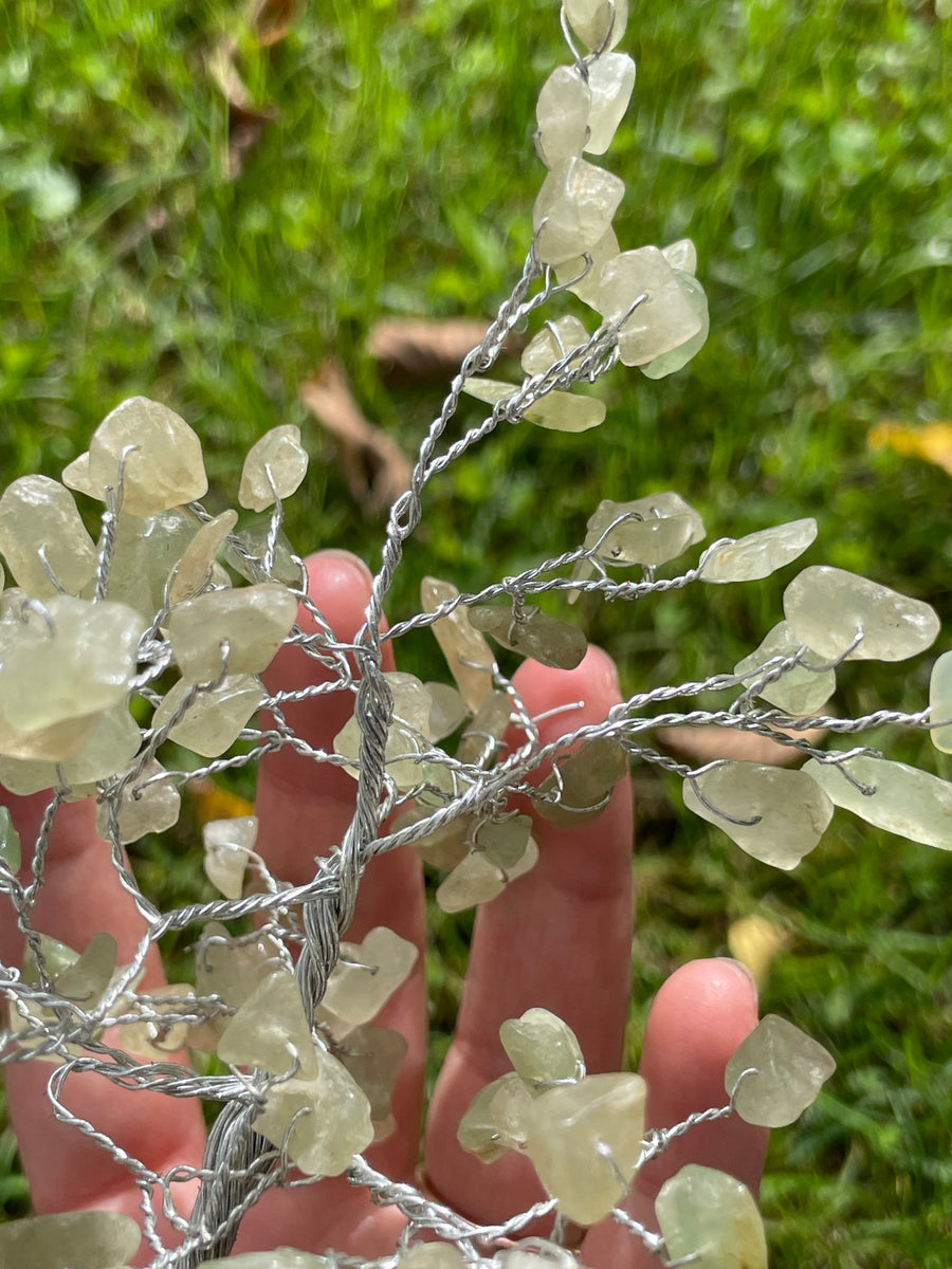 Crystal Trees with Orgone Pyramid Base 7 Inches(100 chips)