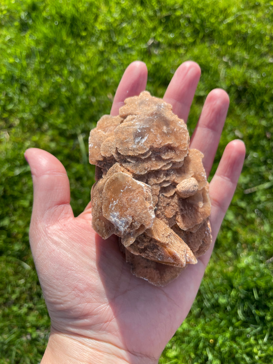 Selenite Desert rose largest in the shop