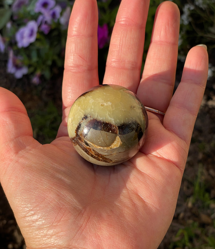 Septarian sphere