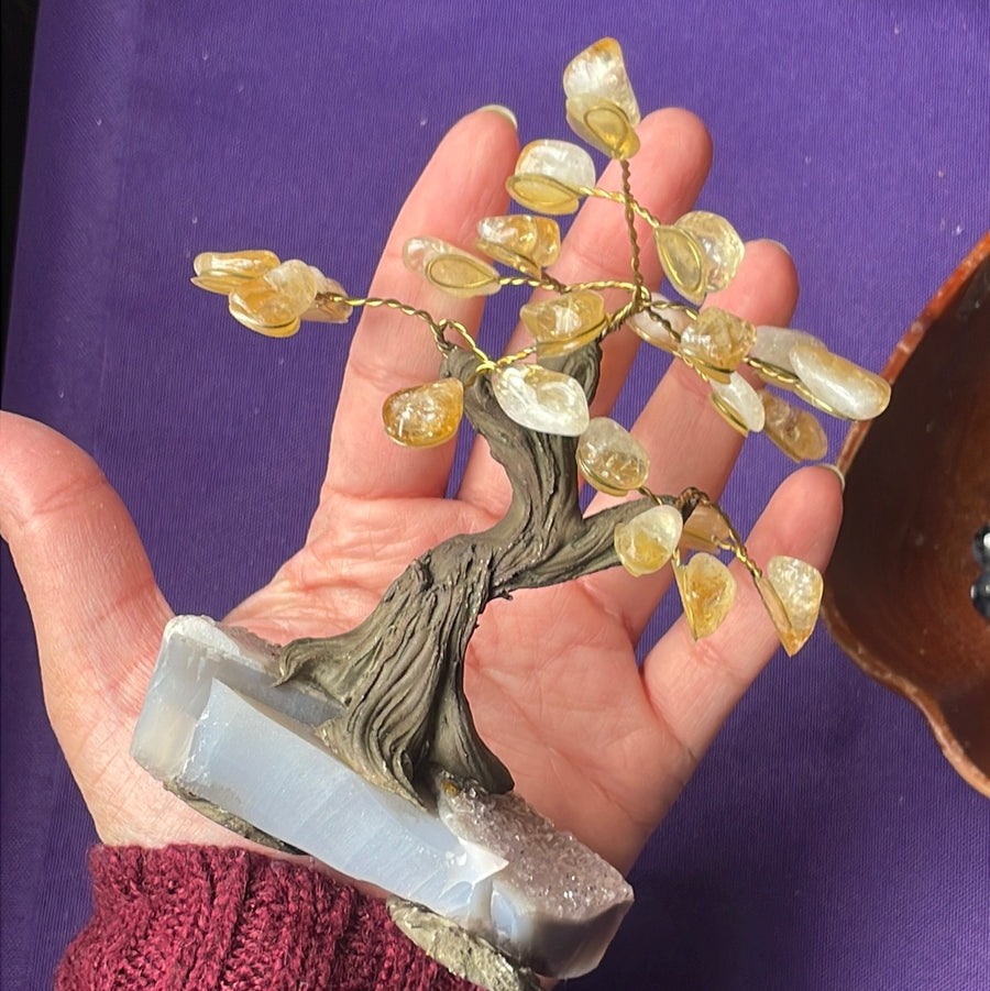 Citrine crystal tree on Amethyst druzy base