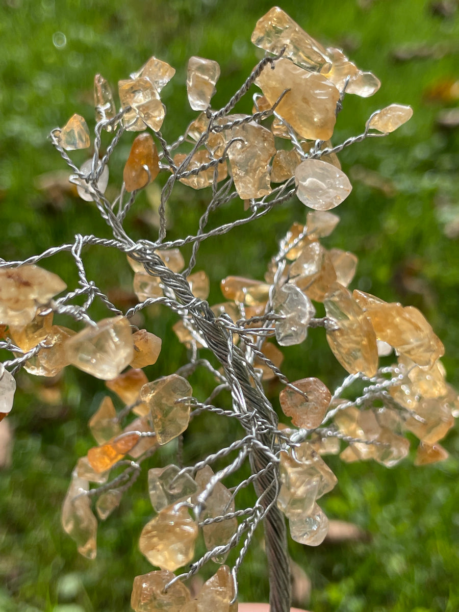 Crystal Trees with Orgone Pyramid Base 7 Inches(100 chips)