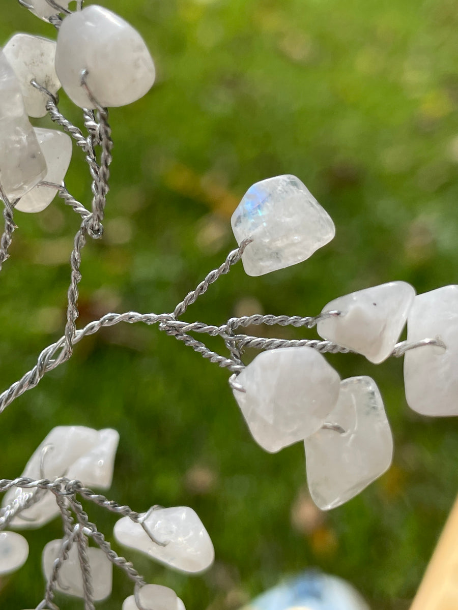 Crystal Trees with Orgone Pyramid Base 7 Inches(100 chips)