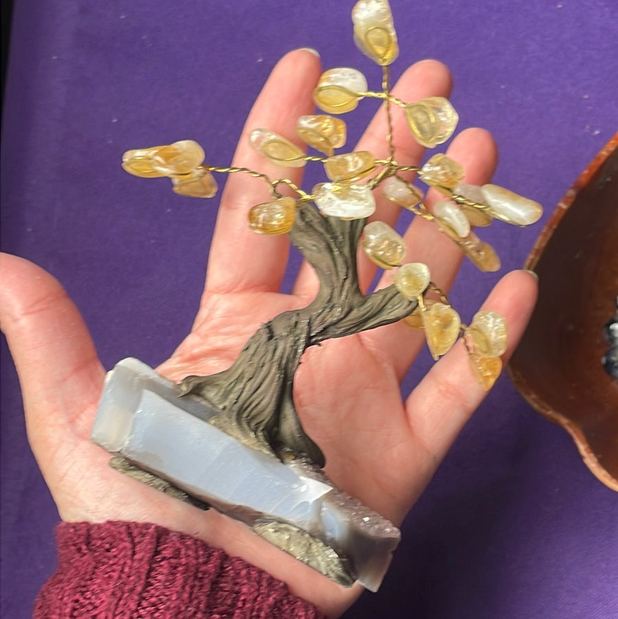 Citrine crystal tree on Amethyst druzy base