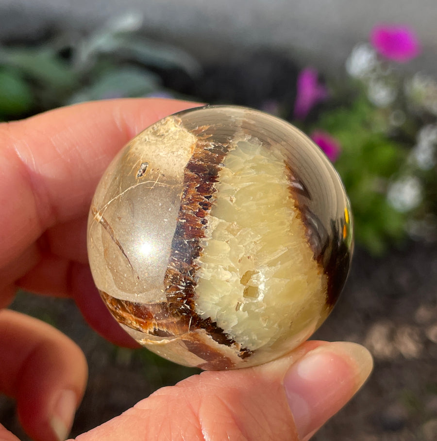 Septarian sphere