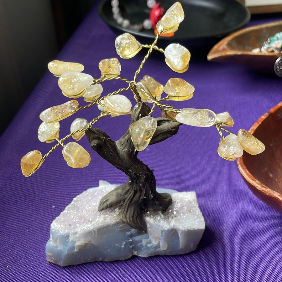 Citrine crystal tree on Amethyst druzy base