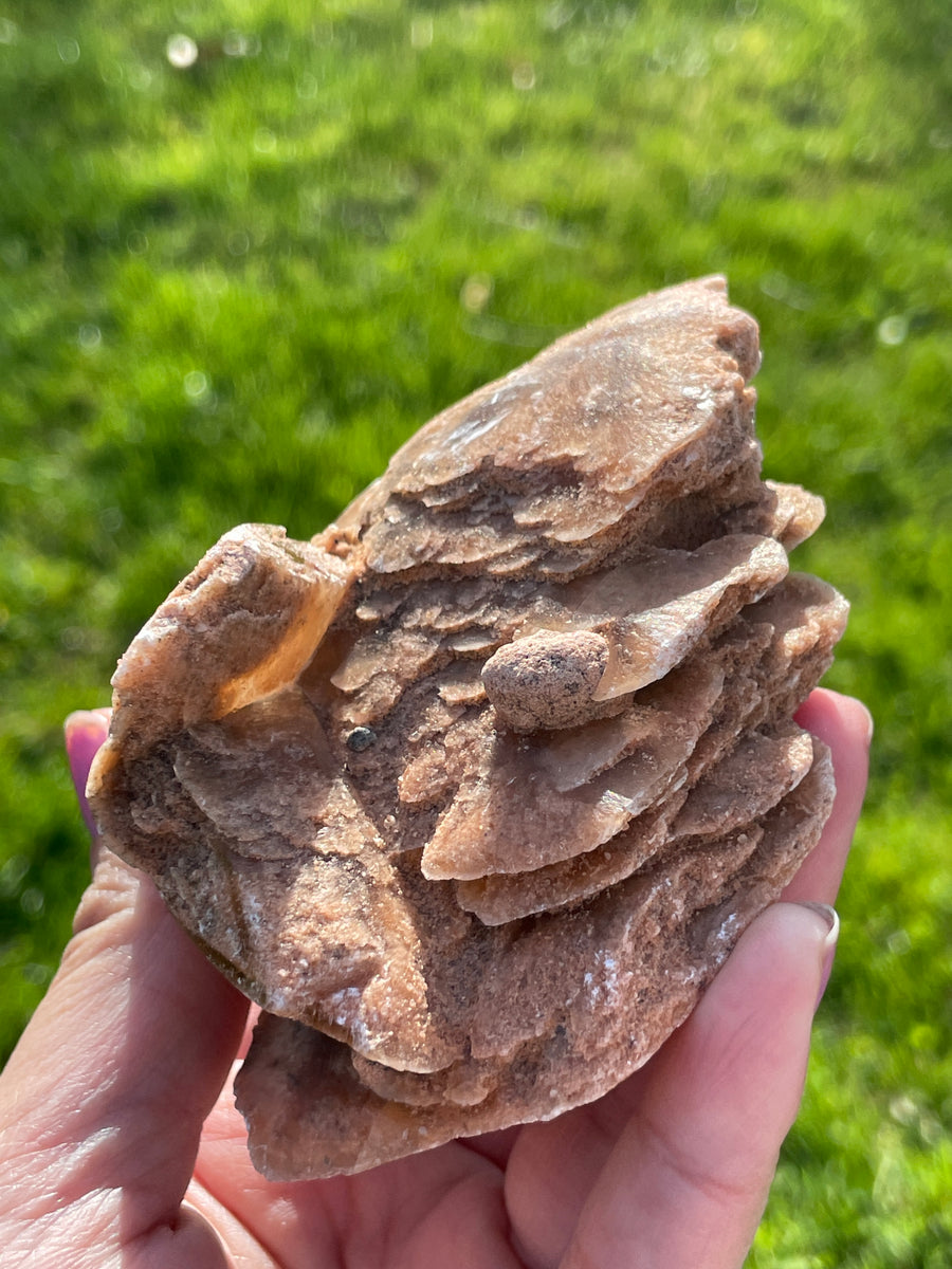 Selenite Desert rose largest in the shop