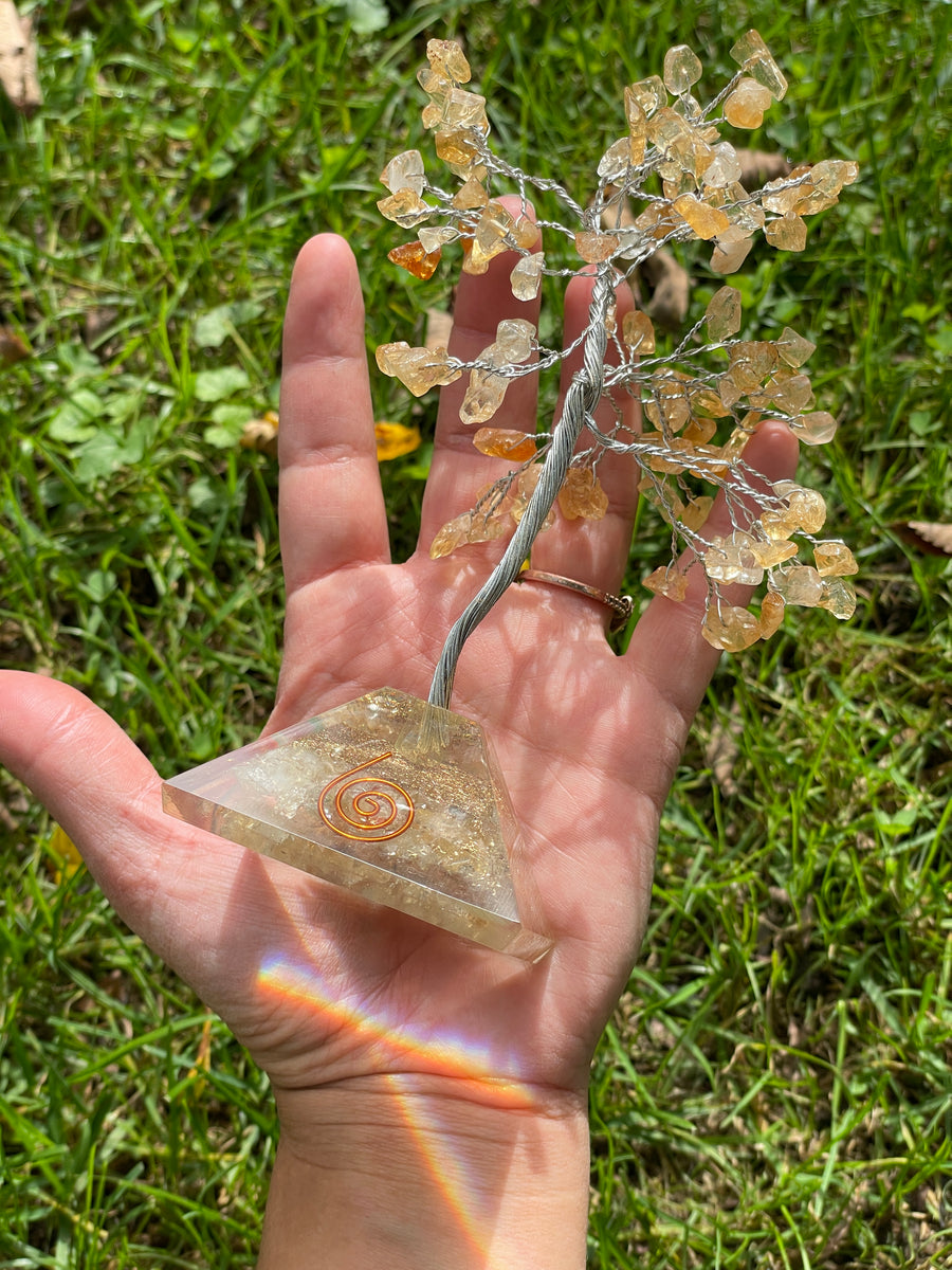 Crystal Trees with Orgone Pyramid Base 7 Inches(100 chips)