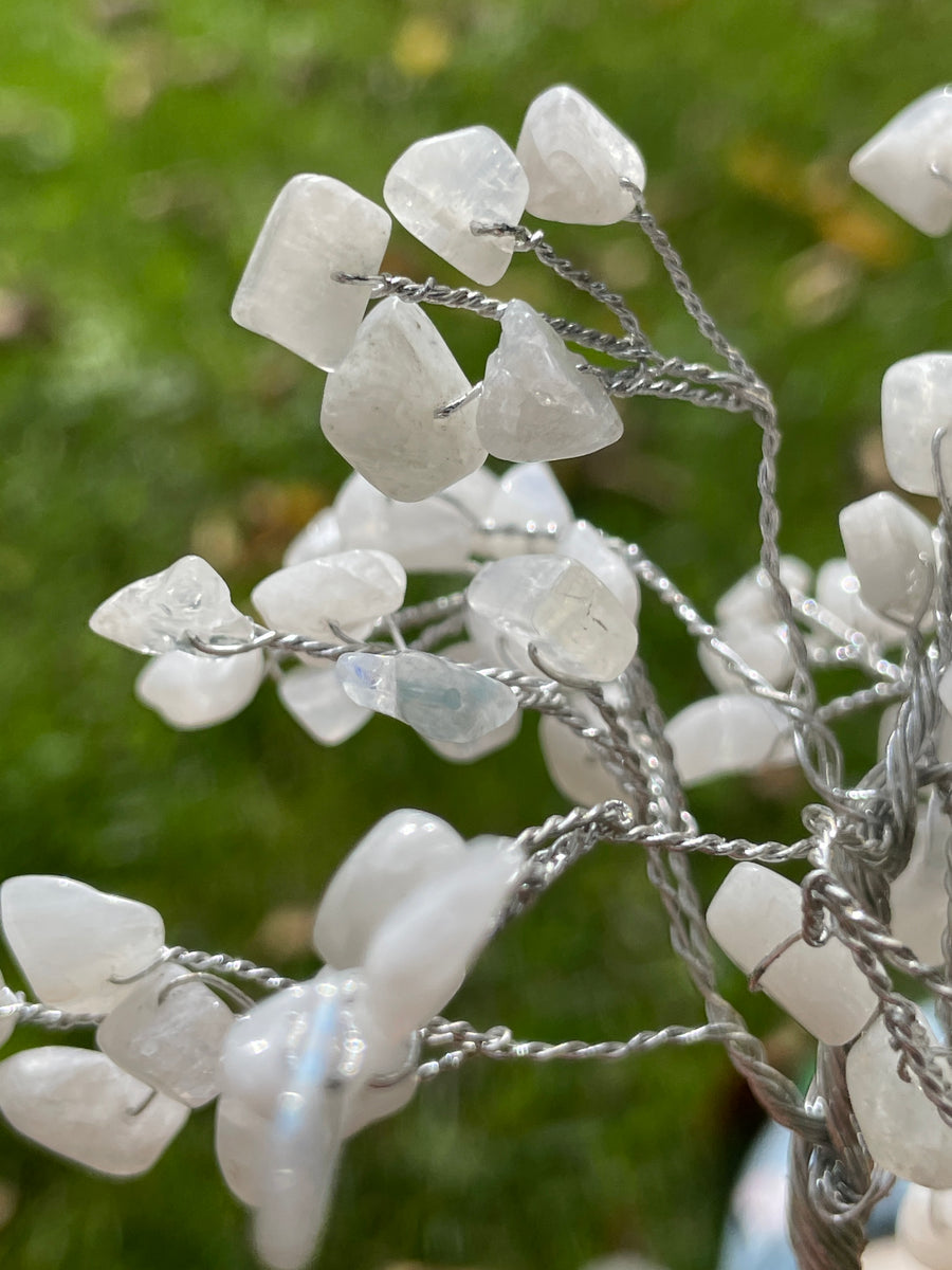 Crystal Trees with Orgone Pyramid Base 7 Inches(100 chips)