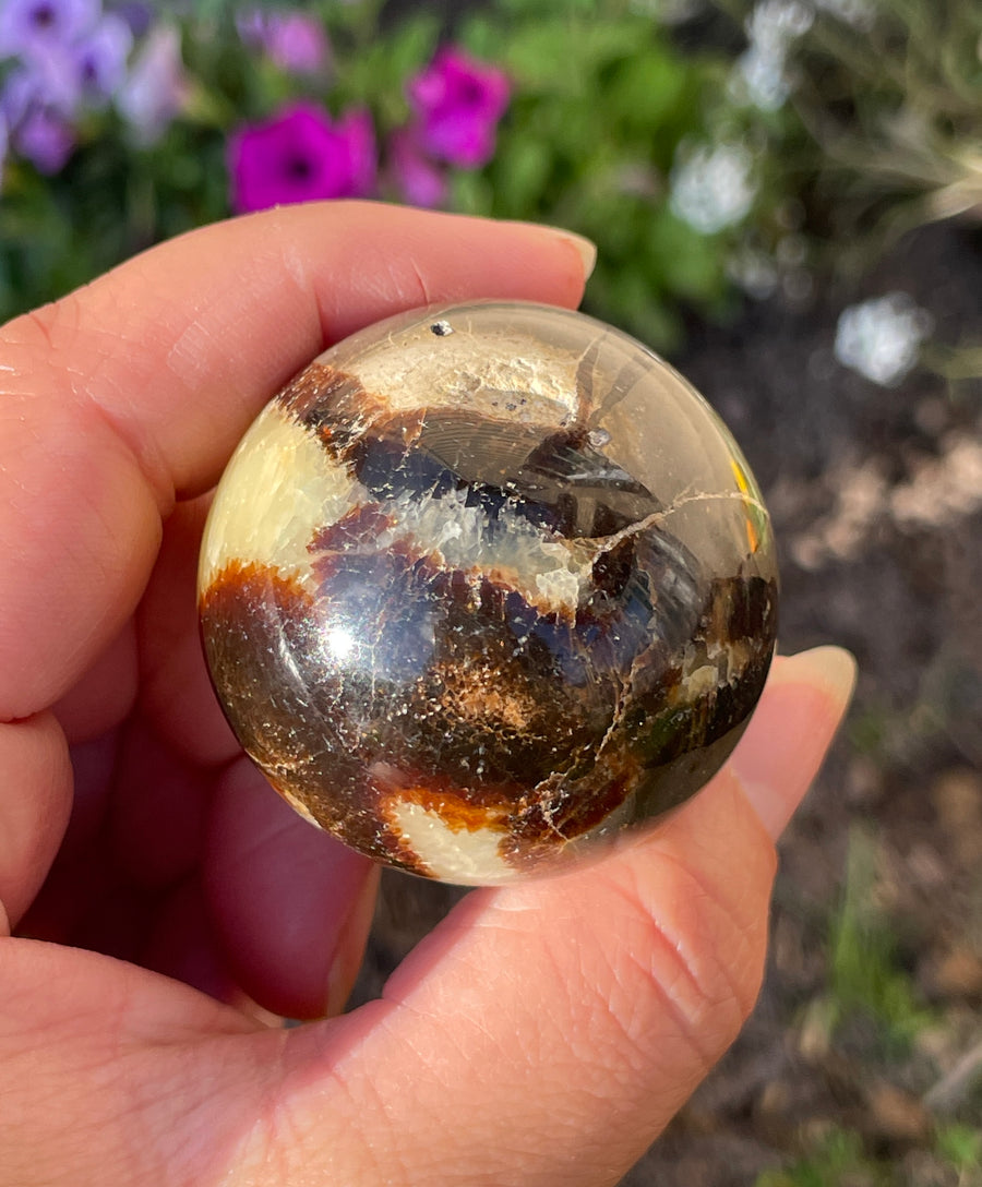 Septarian sphere