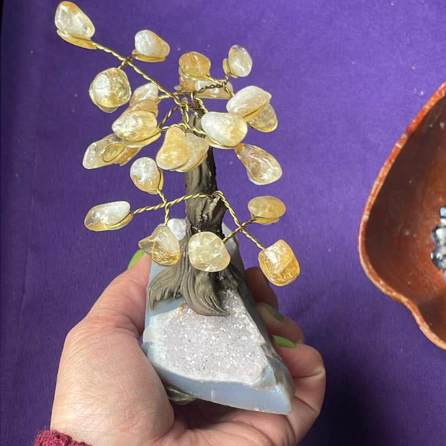 Citrine crystal tree on Amethyst druzy base